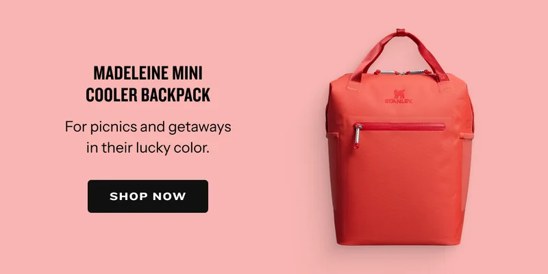 Madeleine Mini Cooler Backpack