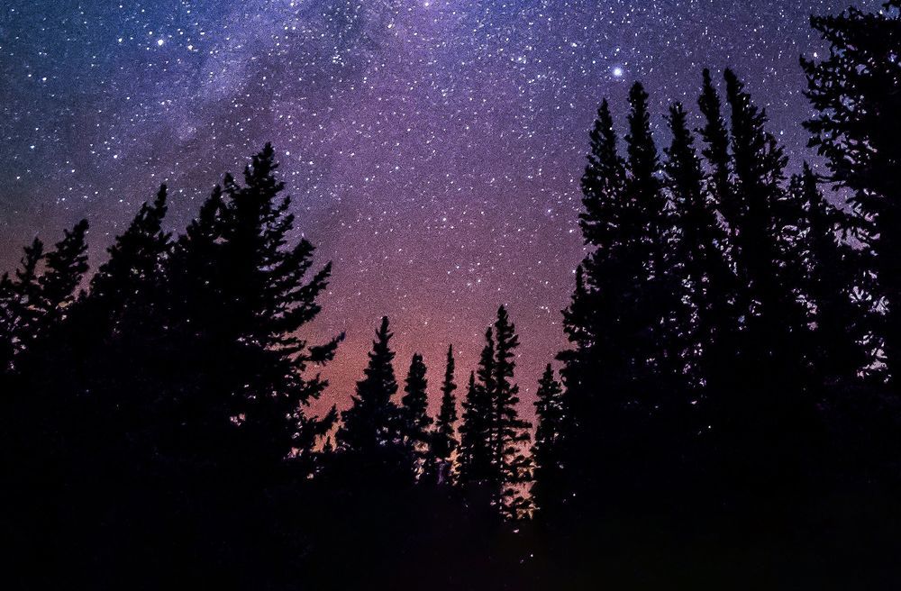 Drifting Off with Gratitude