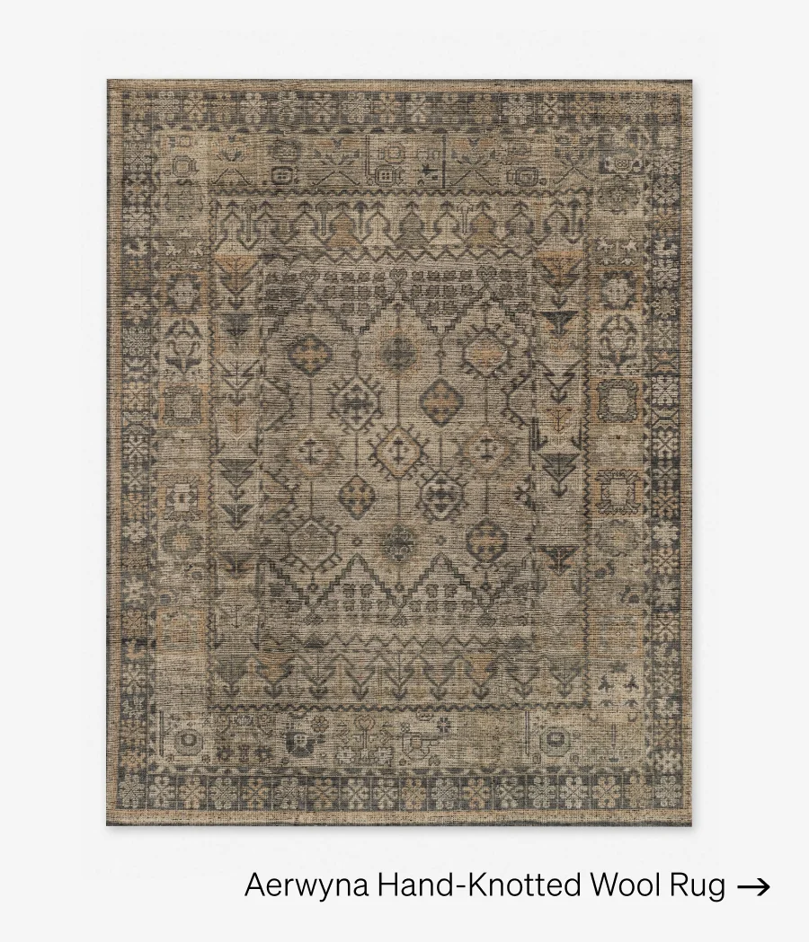 Shop Aerwyna Rug