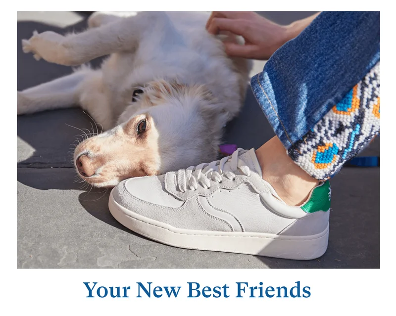 Your New Best Friends