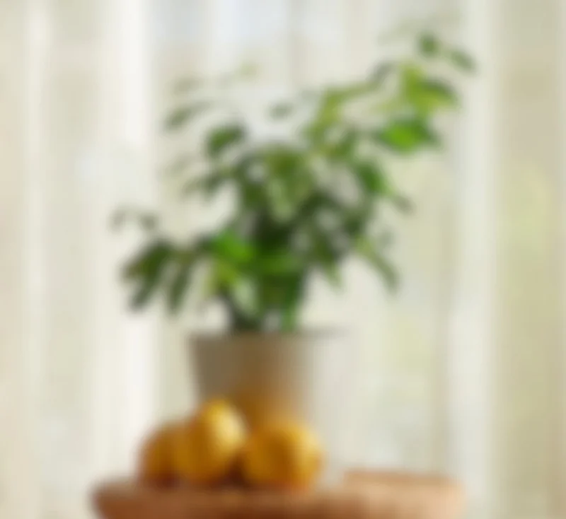 blurry image of mysterious plant