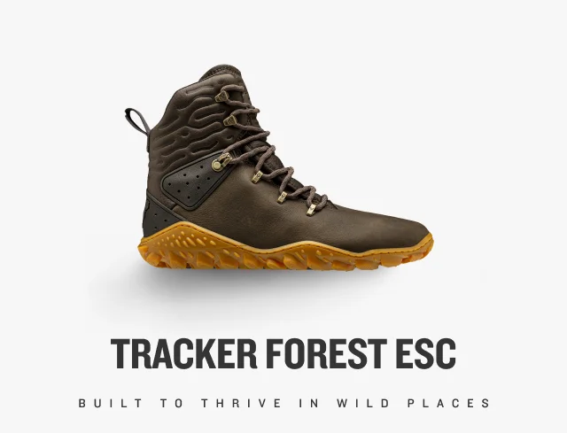 SHOP TRACKER FOREST ESC