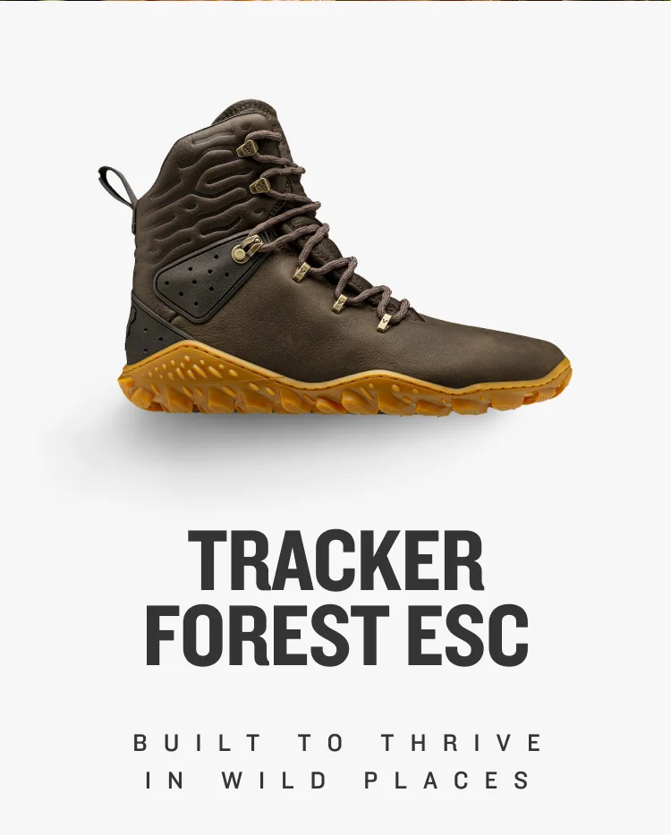 SHOP TRACKER FOREST ESC