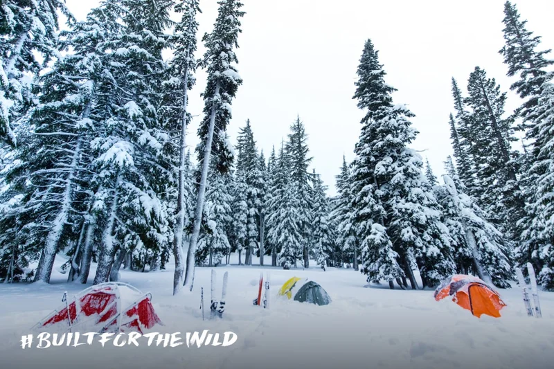 Built For The Wild