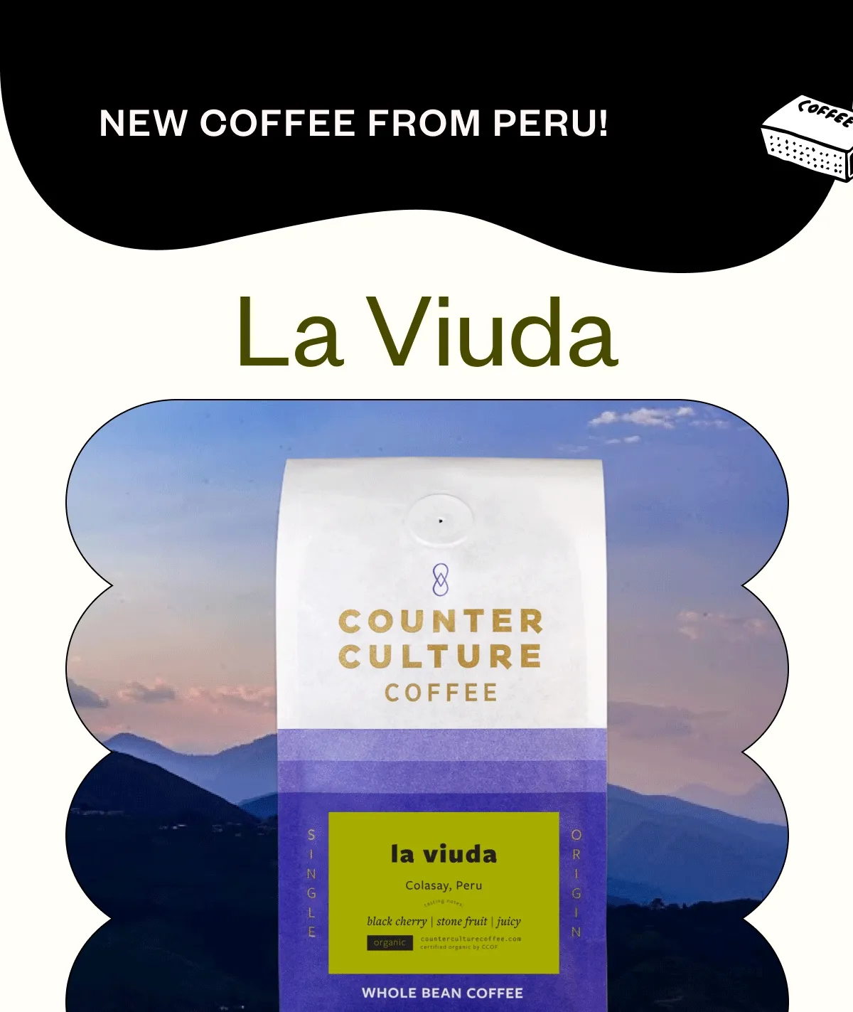 New coffee from Peru! La Viuda black cherry stone fruit juicy