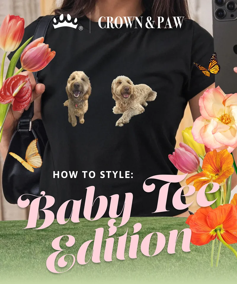 Heading: How to Style: Baby Tee Edition