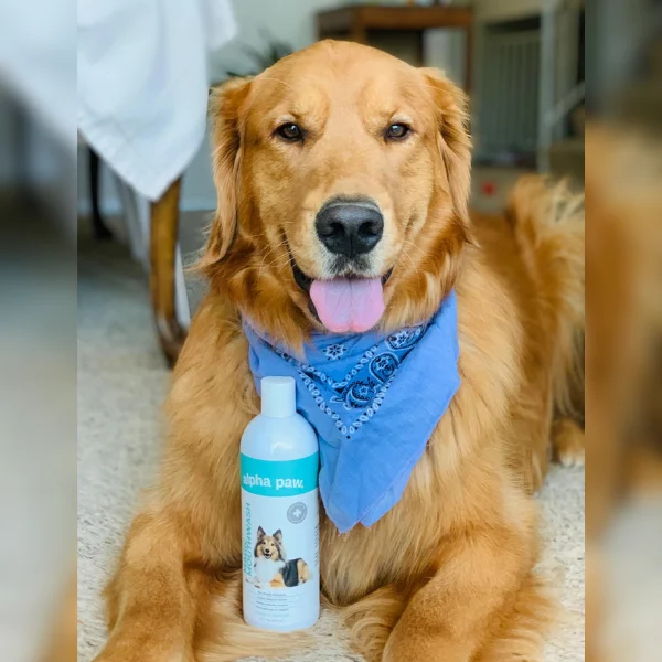 MAGIC MOUTHWASH