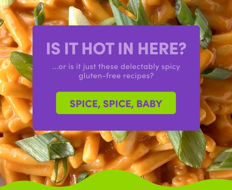 IS IT HOT IN HERE? ...or is it just these delectably spicy gluten-free recipes? SPICE, SPICE, BABY