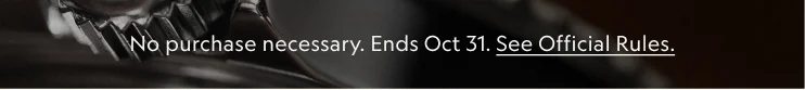 Terms & Conditions