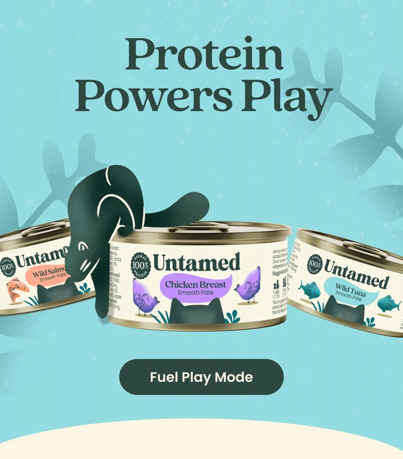 Protein Powers Play