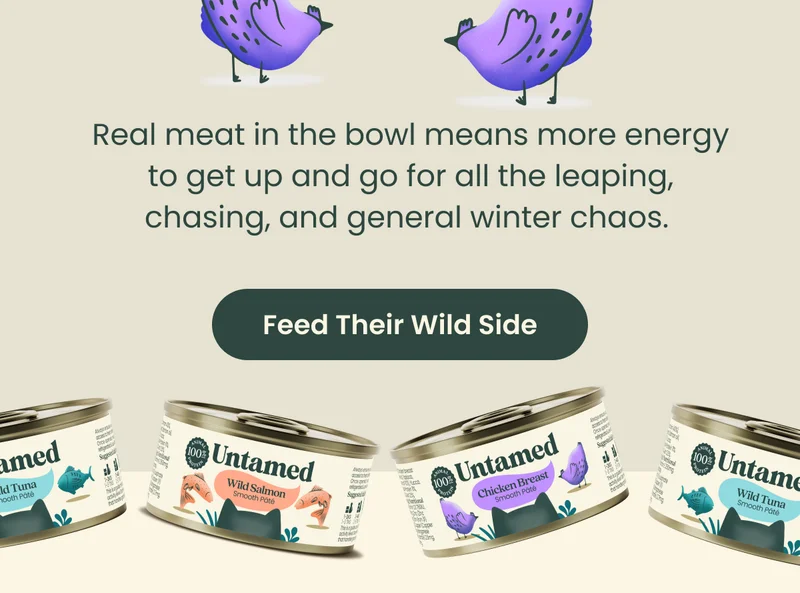 Feed their Wild Side