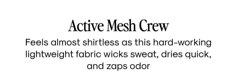 Active Mesh Crew