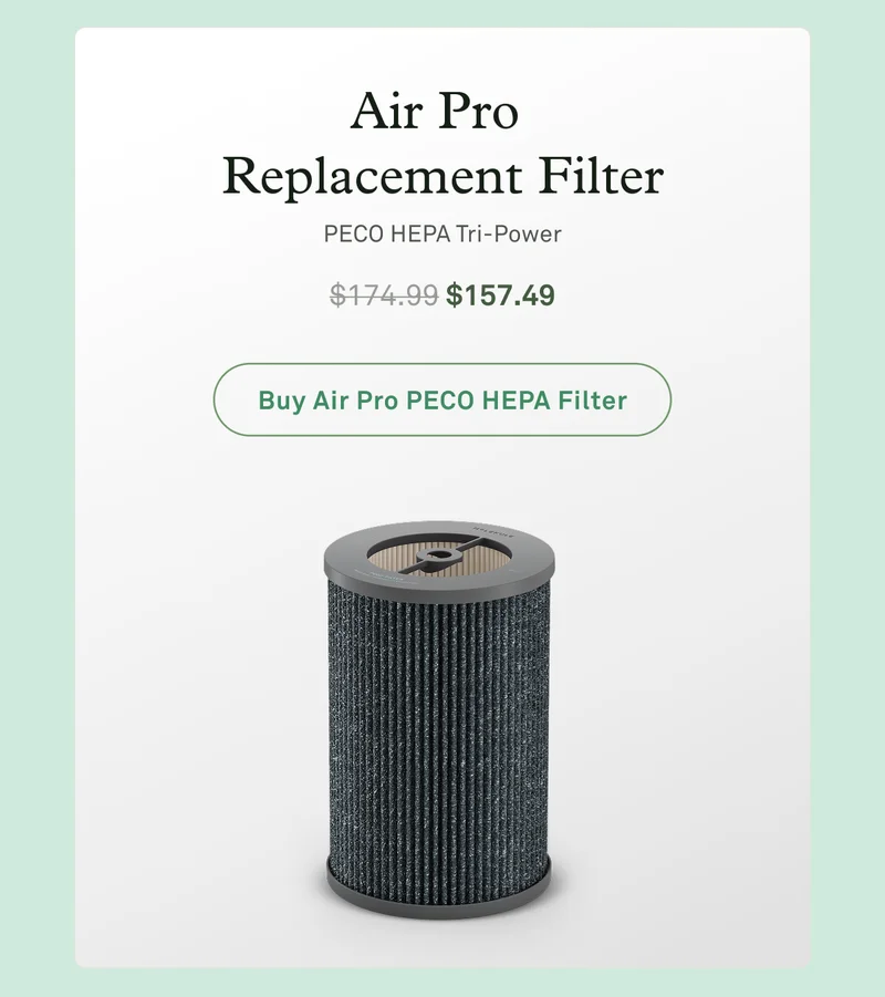 Air Pro Replacement Filter