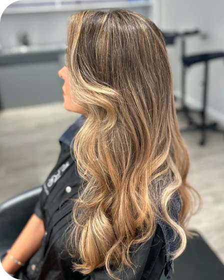 highlights
