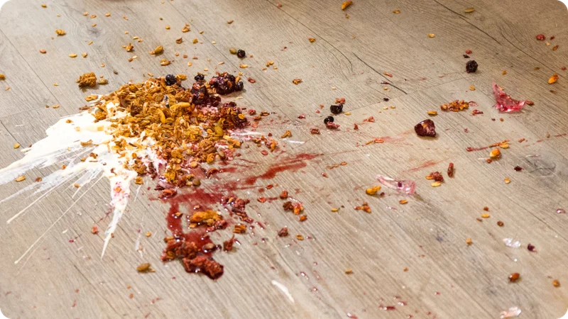 Food Scattered All Over the Floor