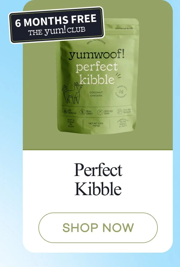Perfect Kibble | shop now