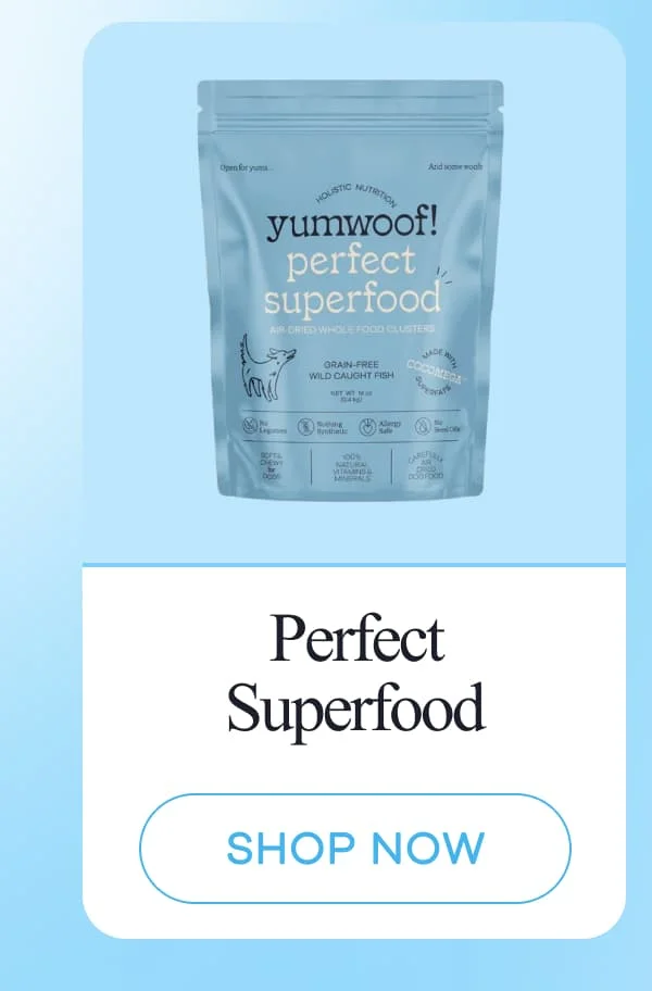 Perfect Superfood | shop now