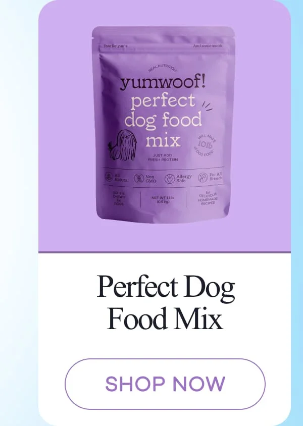 Perfect Dog Food Mix | shop now