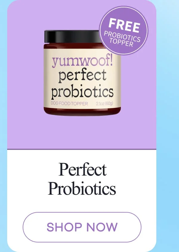Perfect Probiotics | shop now