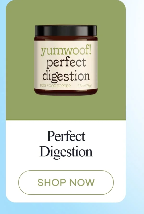 Perfect Digestion | shop now