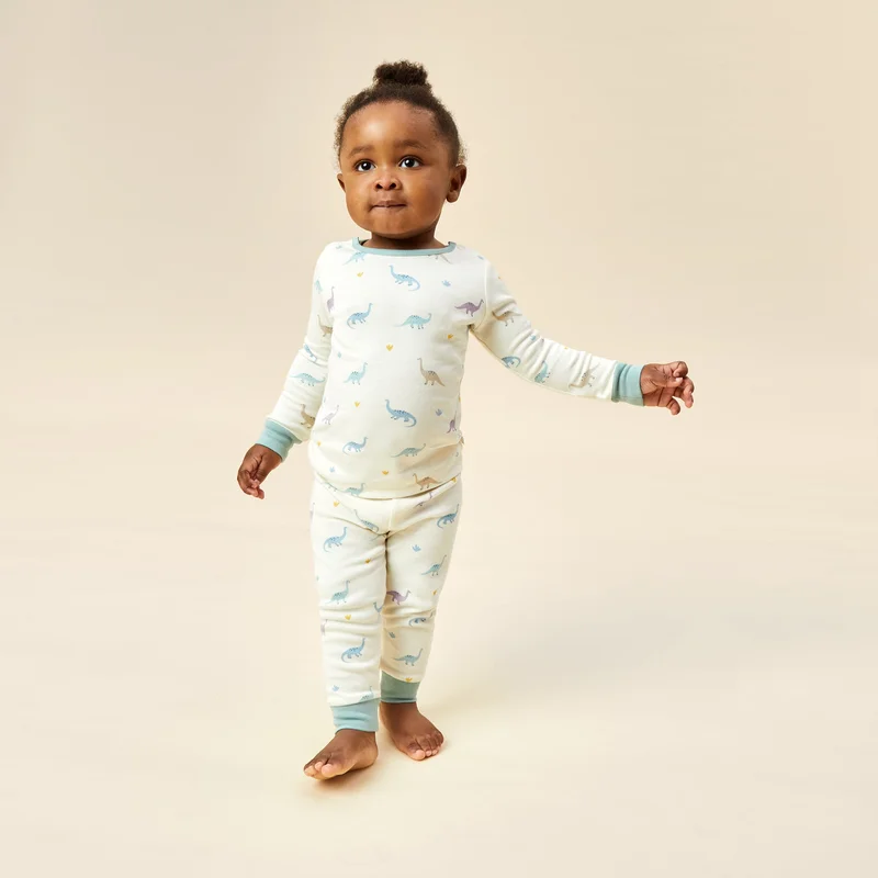 Image of Dino Print Pajama Set