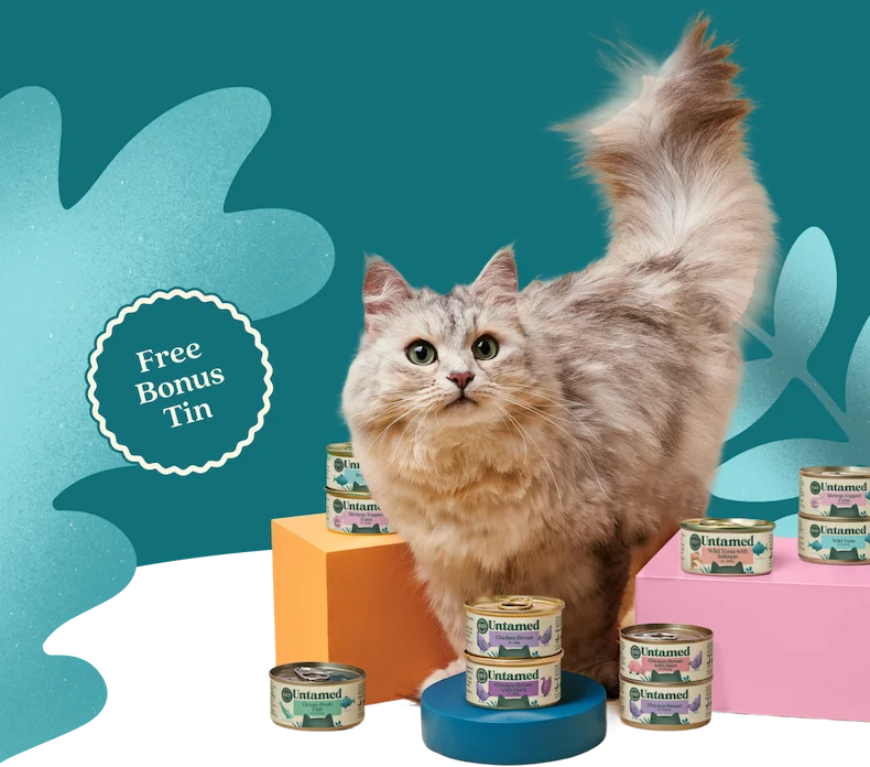 Free Bonus Tin