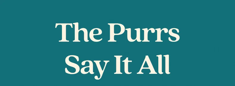 The Purrs Say It All