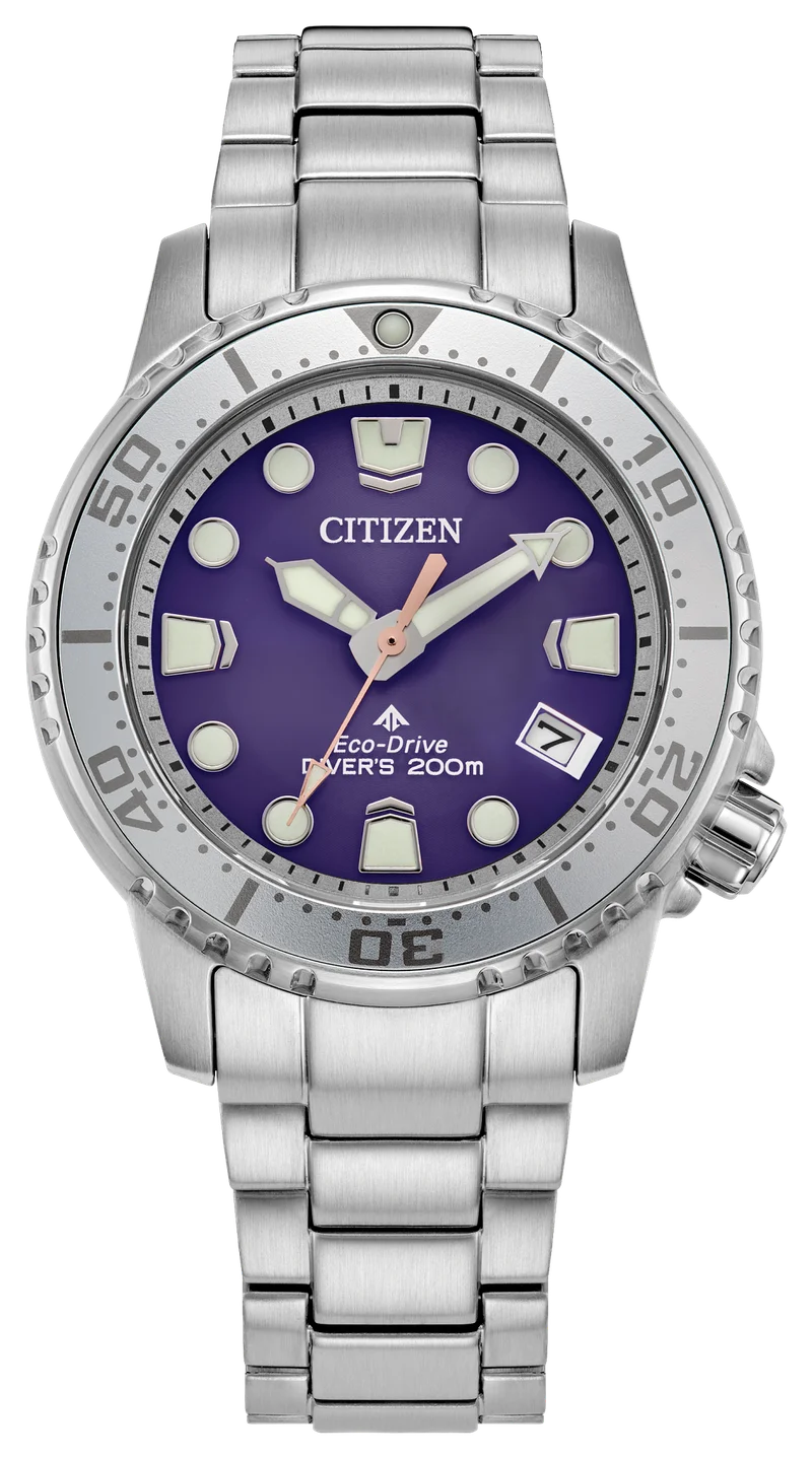 Image of Promaster Dive