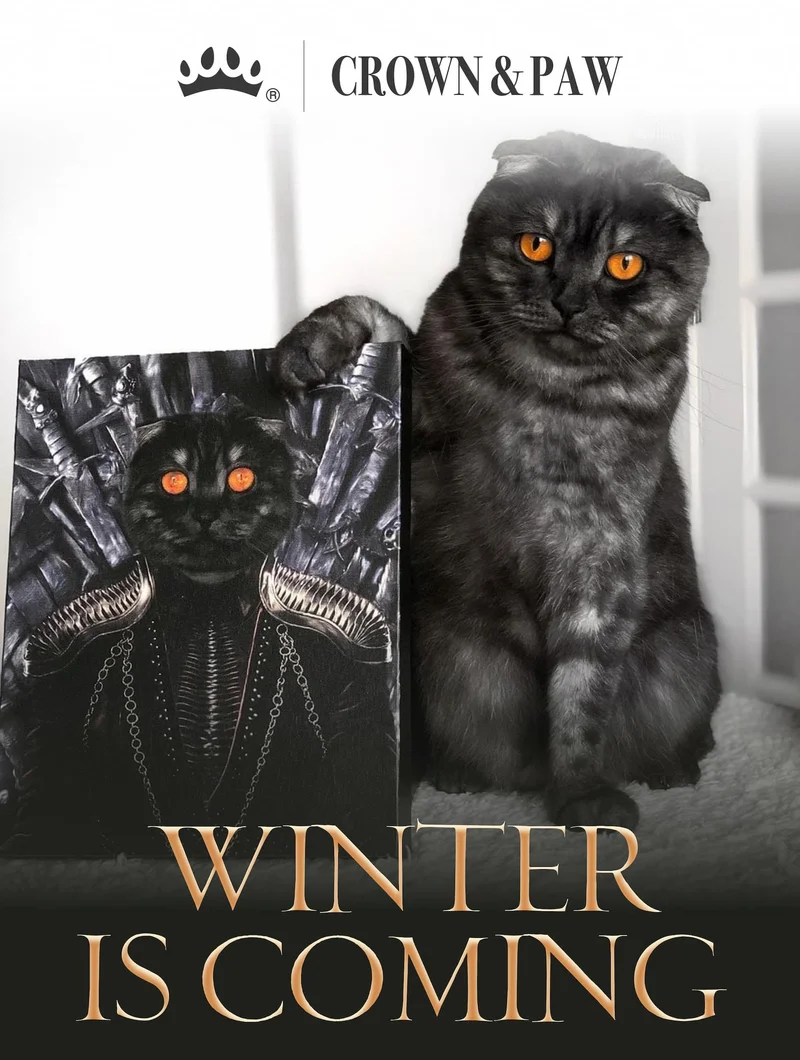 WINTER IS COMING