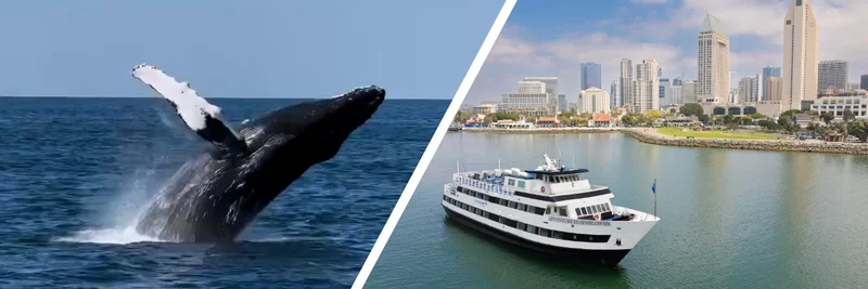 Whales in the Wild*