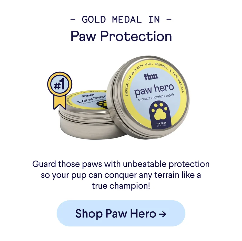 Paw Hero: Gold Medal in Paw Protection – Guard those paws with unbeatable protection so your pup can conquer any terrain like a true champion!