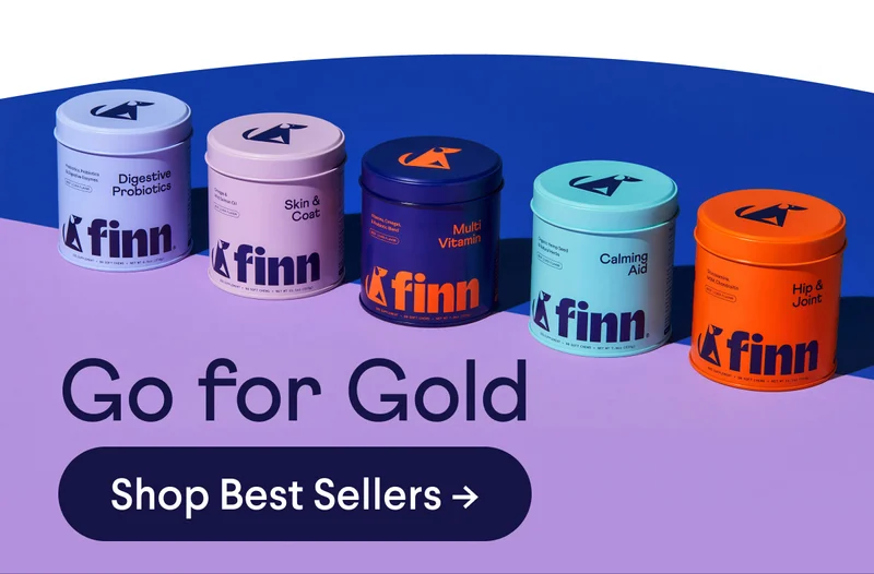 Go for Gold! Shop Best Sellers >