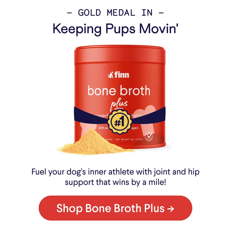Bone Broth Plus: Gold Medal in Keeping Pups Movin' – Fuel your dog's inner athlete with joint and hip support that wins by a mile!