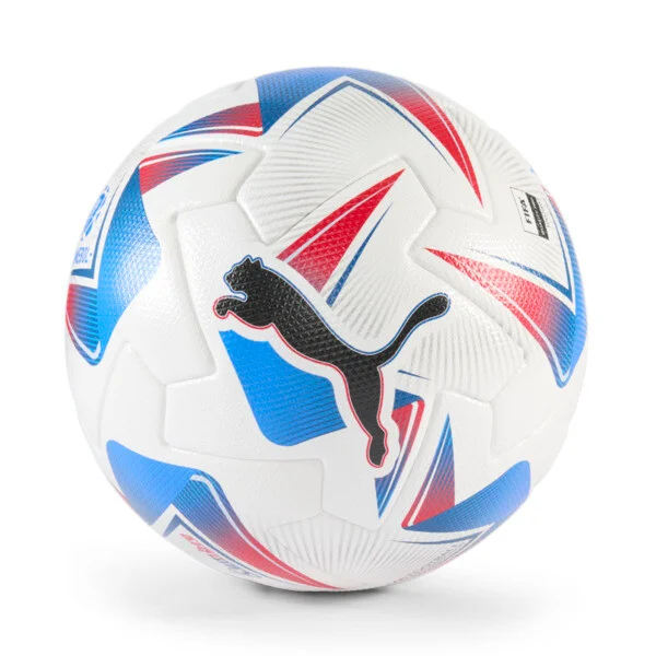 PUMA Cumbre CONMEBOL Copa América 2024 (Official) Soccer Ball