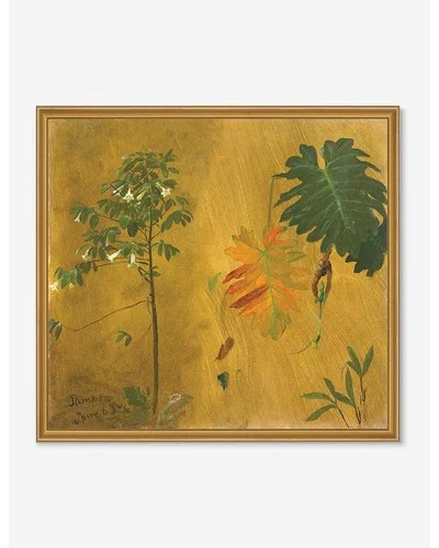 Botanical Study, Jamaica Print by Frederic Edwin Church - Framed / Gold / 26" x 24"