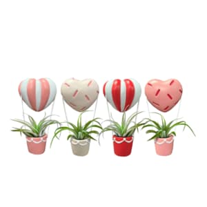 20% Off Select House Plants