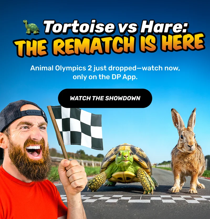 Tortoise vs Hare: The Rematch is Here! | CTA: Watch the Showdown