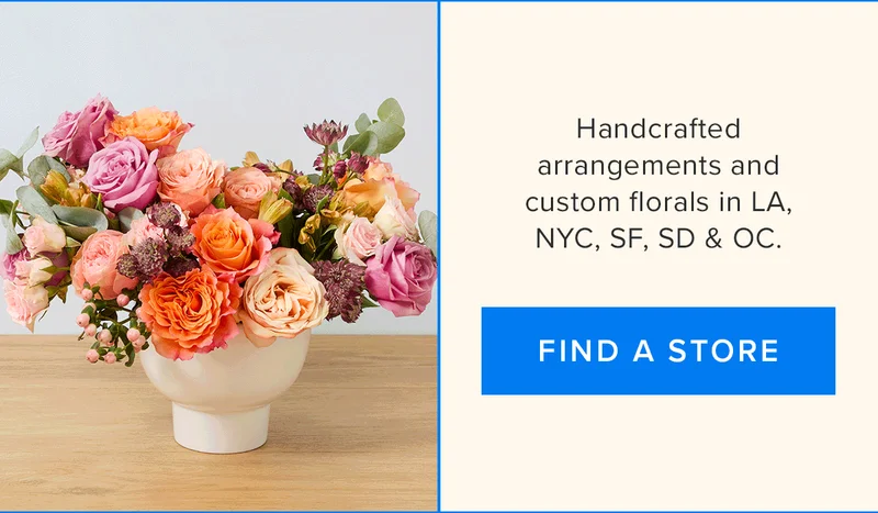 Handcrafted arrangements and custom florals in LA, NYC, SF, SD & OD. Find a Store