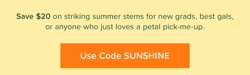Save $20 on striking summer stems for new grads, best gals, or anyone who just loes a petal pick-me-up. Use Code discount code