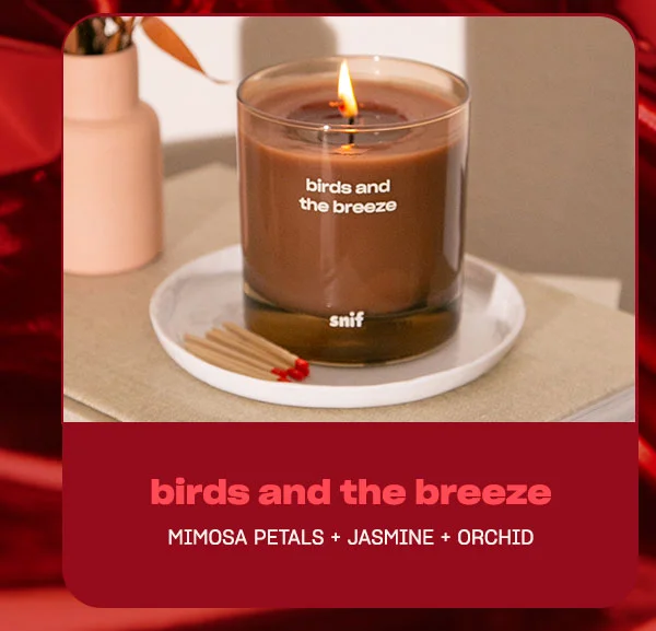 Get 30% off Birds and the Breeze with code SNIF30 ↗