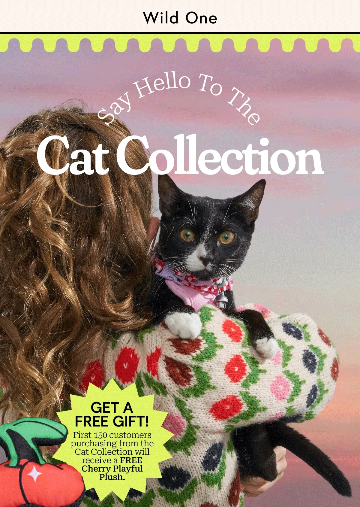 Say Hello To The Cat Collection