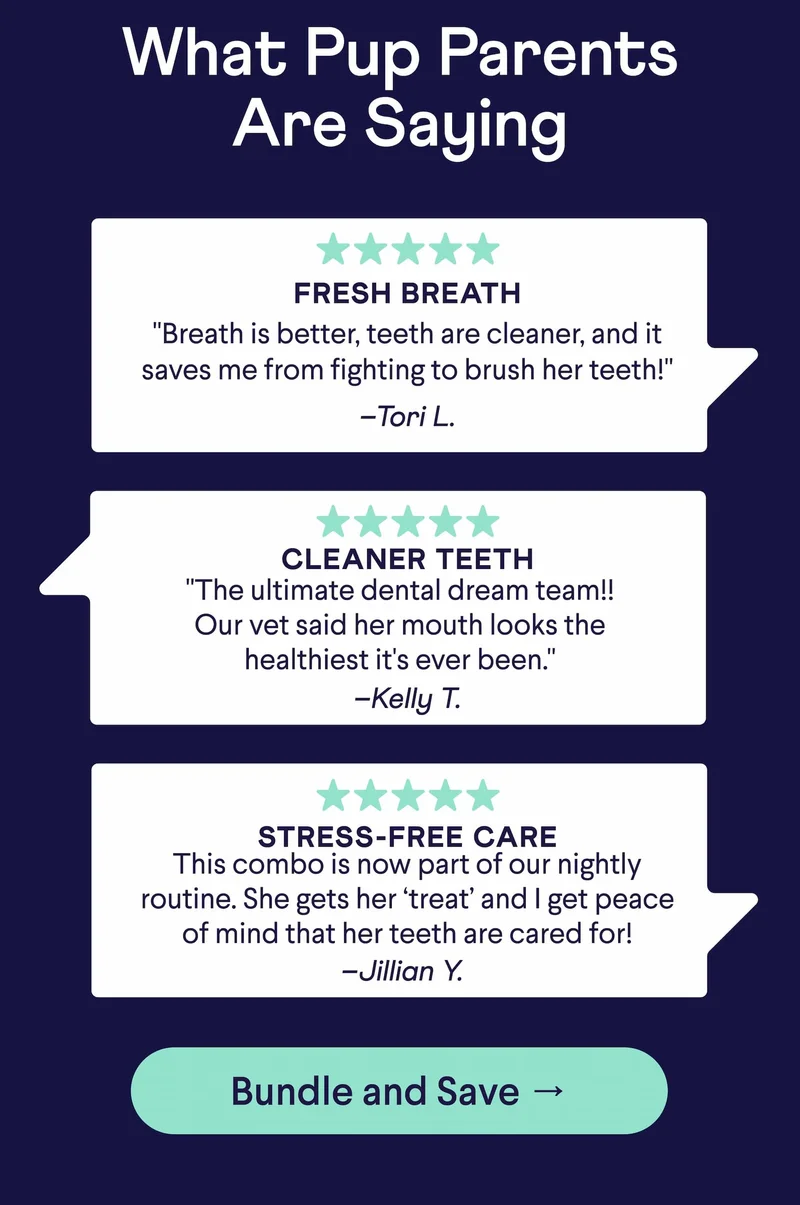 Text: What Pup Parents Are Saying – 5 Star Plaque Patrol Bundle Reviews: Title: FRESH BREATH "Breath is better, teeth are cleaner, and it saves me from fighting to brush her teeth!"  –Tori L. Title: CLEANER TEETH "The ultimate dental dream team!! Our vet said her mouth looks the healthiest it's ever been."  –Kelly T. Title: STRESS-FREE CARE This combo is now part of our nightly routine. She gets her ‘treat’ and I get peace of mind that her teeth are cared for! –Jillian Y. CTA: Bundle and Save –>
