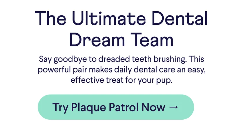 Text: The Ultimate Dental Dream Team Say goodbye to dreaded teeth brushing. This powerful pair makes daily dental care an easy, effective treat for your pup. CTA: Try Plaque Patrol Now →