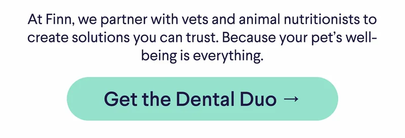 Text: At Finn, we partner with vets and animal nutritionists to create solutions you can trust. Because your pet’s well-being is everything.  CTA: Get the Dental Duo →