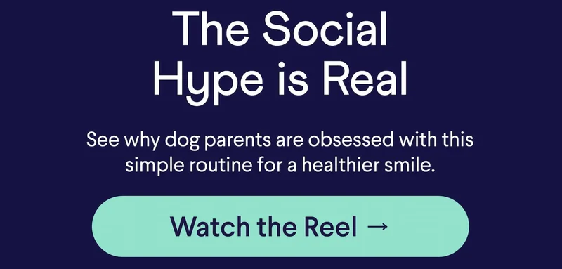 Text: The Social Hype is Real See why dog parents are obsessed with this simple routine for a healthier smile. CTA: Watch the Reel →