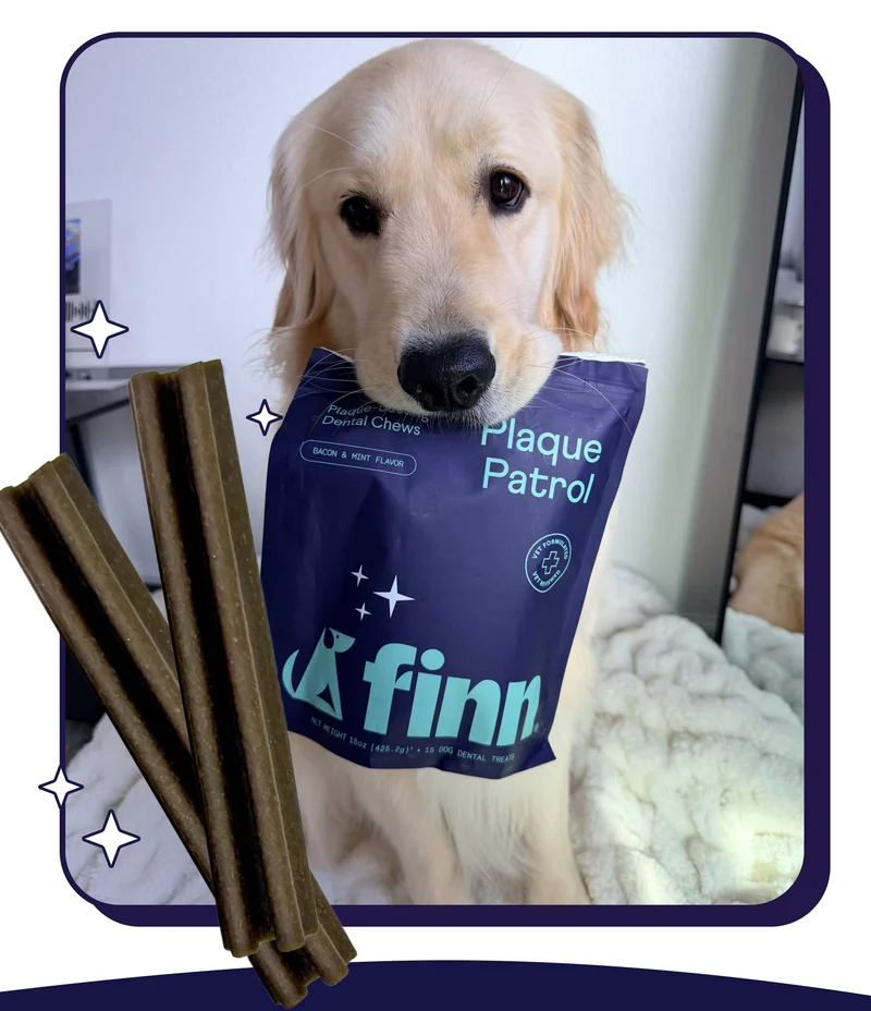 Photo of golden retriever with Finn Plaque Patrol Chews in mouth with dental chews overlayed