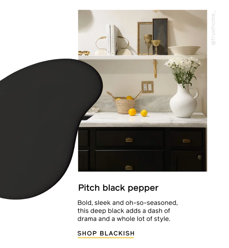 Pitch black pepper. Bold, sleek and oh-so-seasoned, this deep black adds a dash of drama and a whole lot of style. SHOP BLACKISH