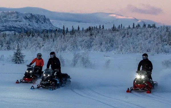 Three Lynx riders