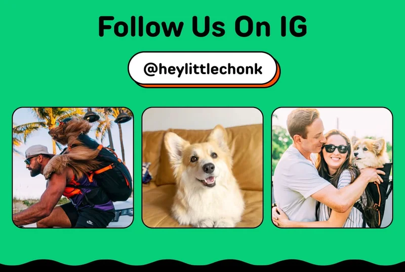 Follow us