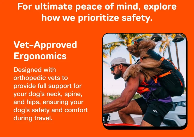 SAFETY FIRST ADVENTURE NEXT